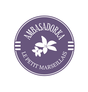 Logo_ambasadorki